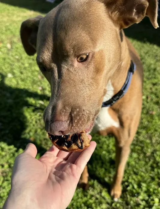 Happy Pets Bakery Picture 4