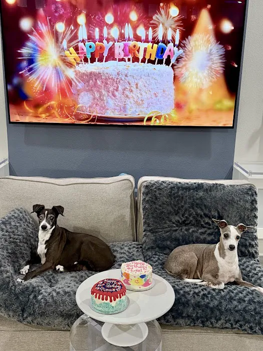 Happy Pets Bakery Picture 1