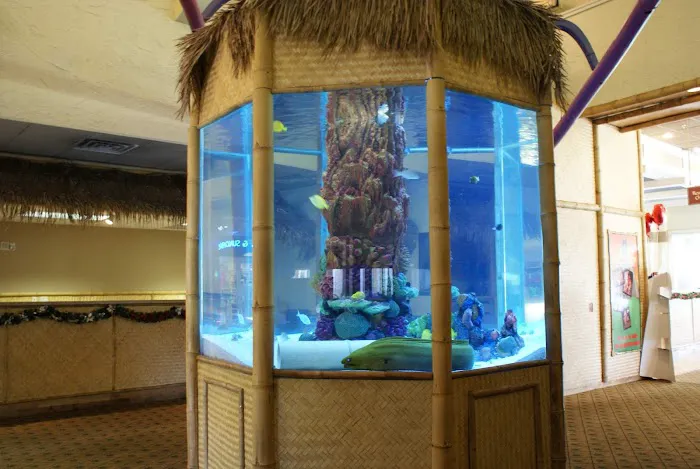 SeaClear Aquarium Management Picture 8