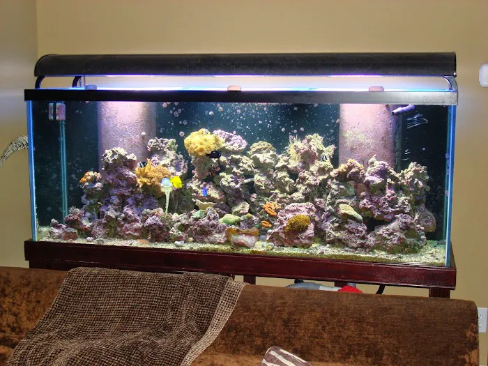 SeaClear Aquarium Management Picture 9
