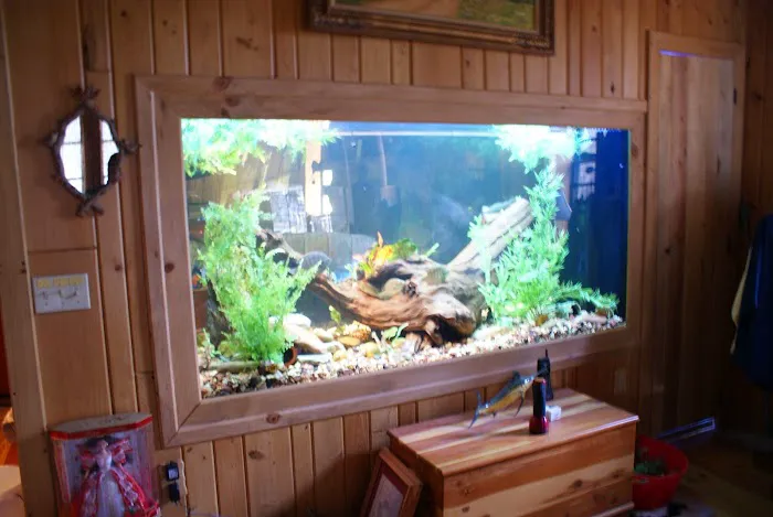 SeaClear Aquarium Management Picture 2