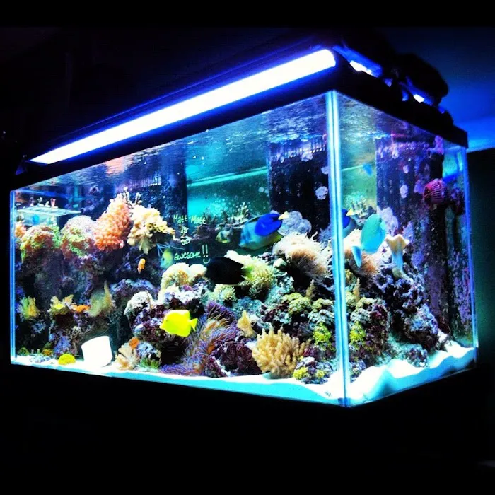 SeaClear Aquarium Management Picture 1