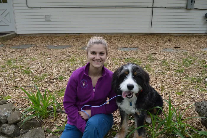 Farmington Animal Hospital Picture 6