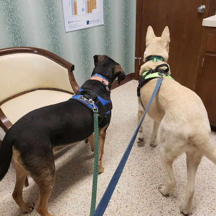 Farmington Animal Hospital Picture 9