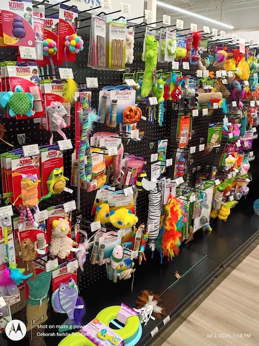 Pet Supermarket Picture 2