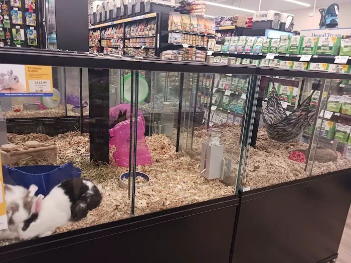 Pet Supermarket Picture 5