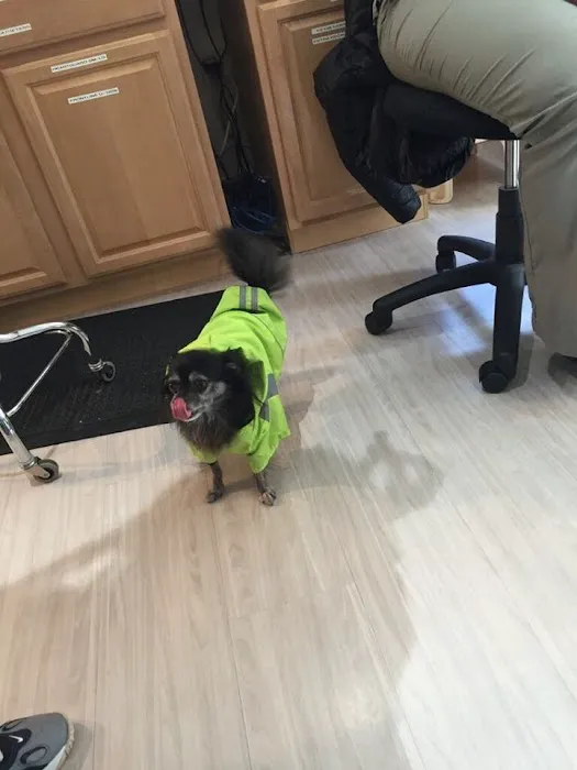 Connecticut Veterinary Center Picture 6