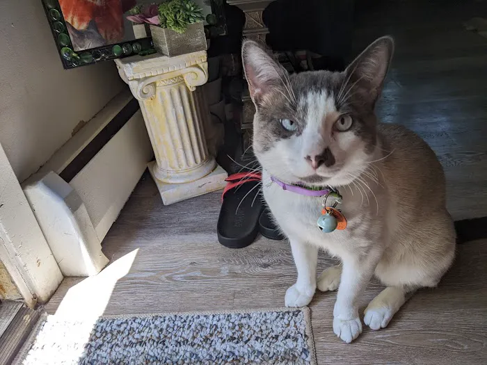 Connecticut Veterinary Center Picture 2