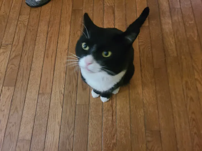 Connecticut Veterinary Center Picture 9