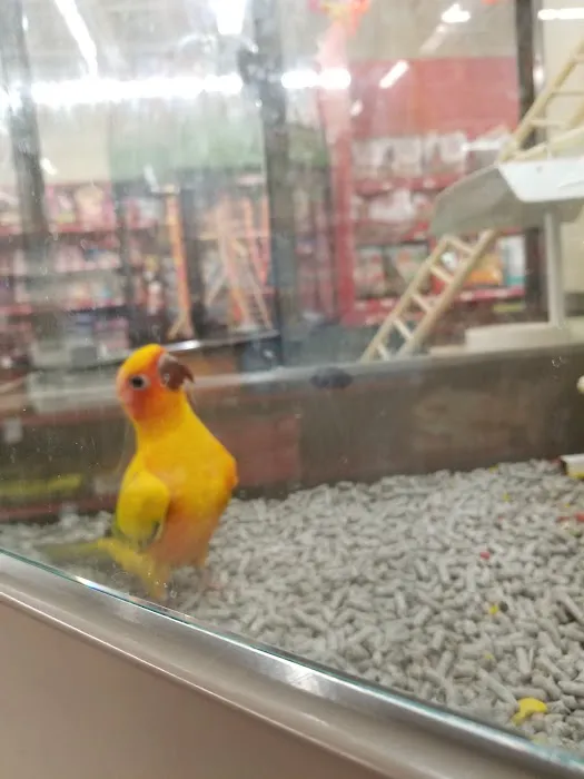 Petco Picture 1