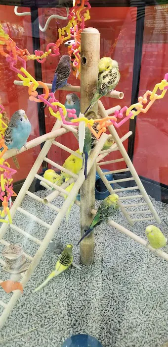 Petco Picture 2