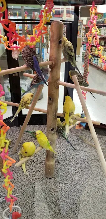 Petco Picture 3