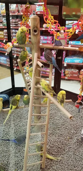 Petco Picture 4