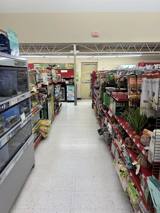 Petco Picture 9