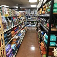 Earth Pets Natural Pet Market Gainesville ico