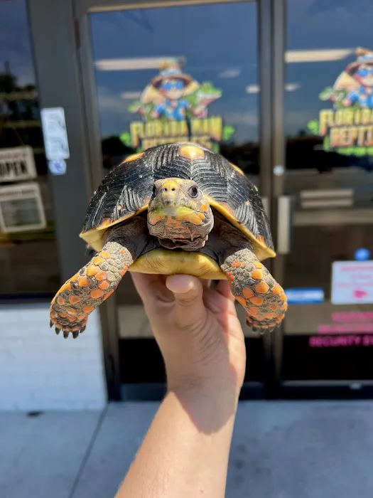 Florida Man Reptiles Picture 7