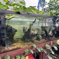 Aquatropics ico