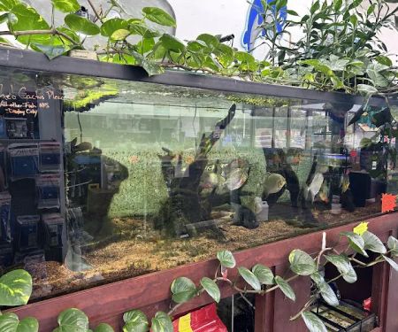 Aquatropics