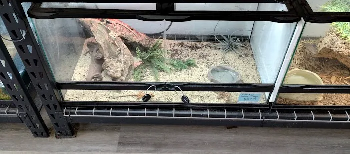 Aqua tropics Reptile Picture 3