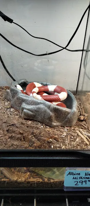 Aqua tropics Reptile Picture 6