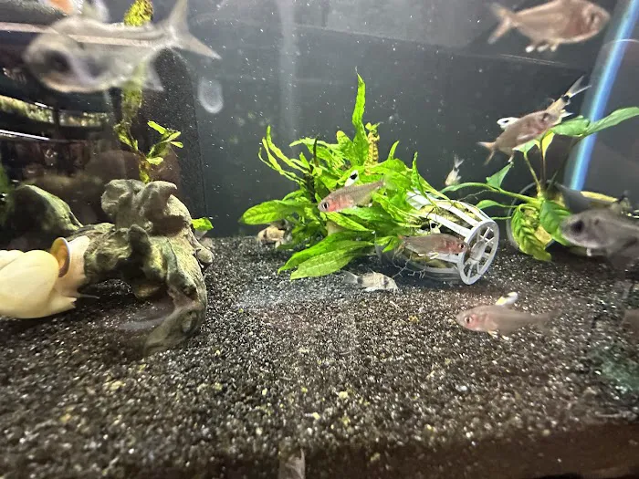 Heeeere Fishy Fishy Picture 3