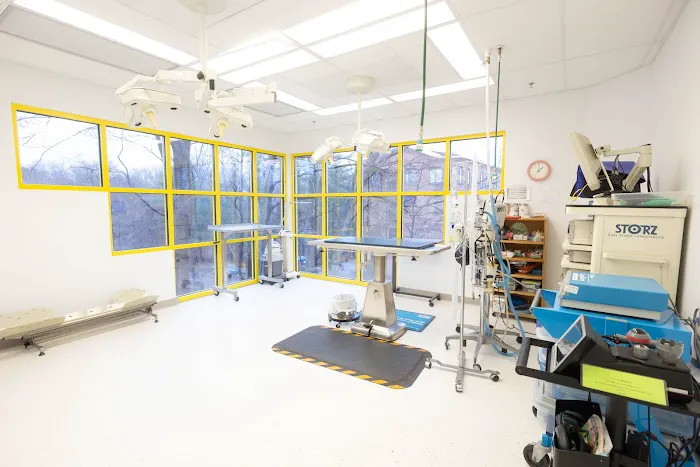 Yalesville Veterinary Hospital Picture 3