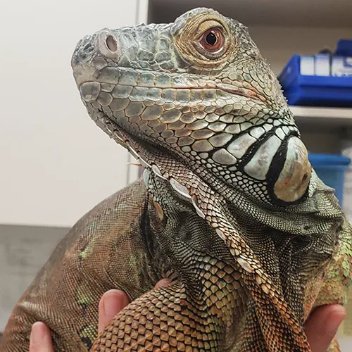 Yalesville Veterinary Hospital Picture 2