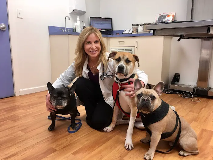 Yalesville Veterinary Hospital Picture 7