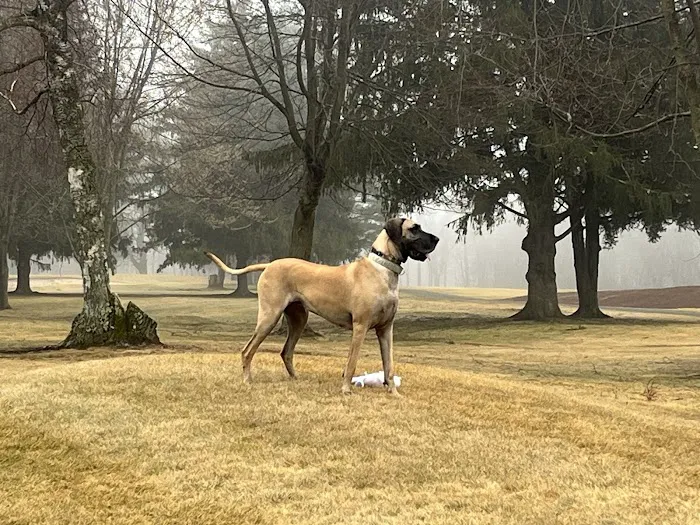 Yalesville Veterinary Hospital Picture 9