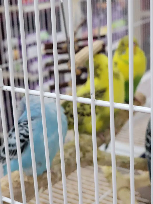 Pet Supermarket Picture 4