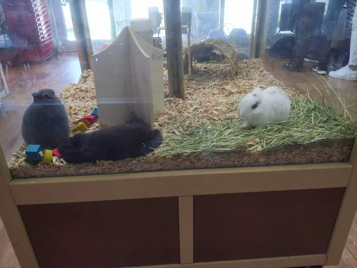 Pet Supermarket Picture 8