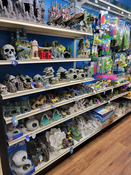 Pet Supermarket Picture 5