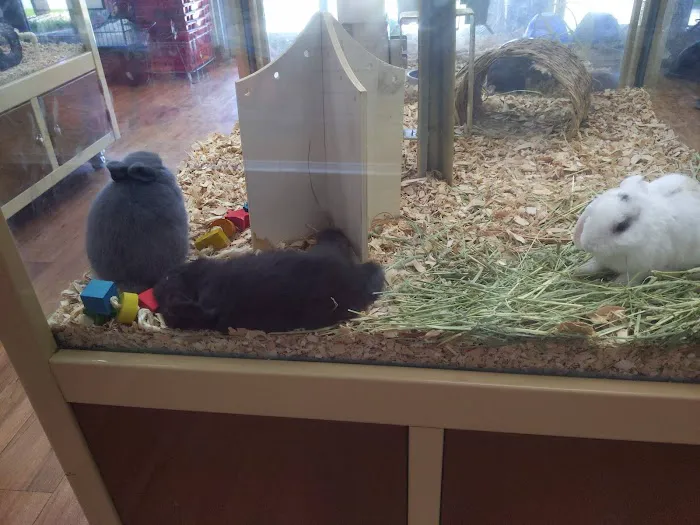 Pet Supermarket Picture 7