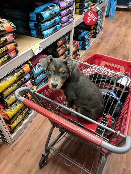 Pet Supermarket Picture 10
