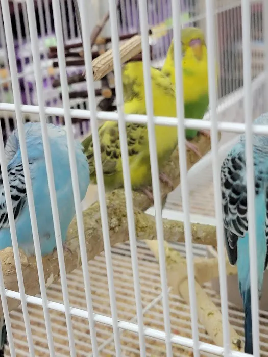 Pet Supermarket Picture 1