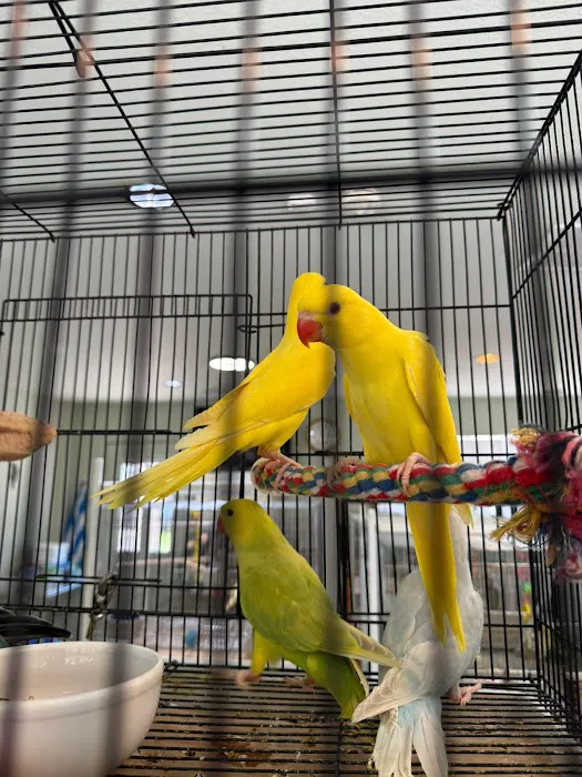 Cheech Exotic Pets Picture 1