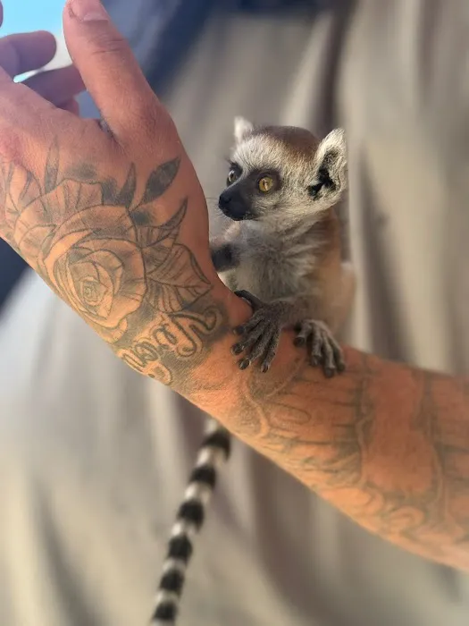 Cheech Exotic Pets Picture 5