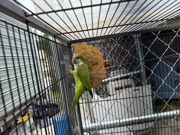 Cheech Exotic Pets Picture 8