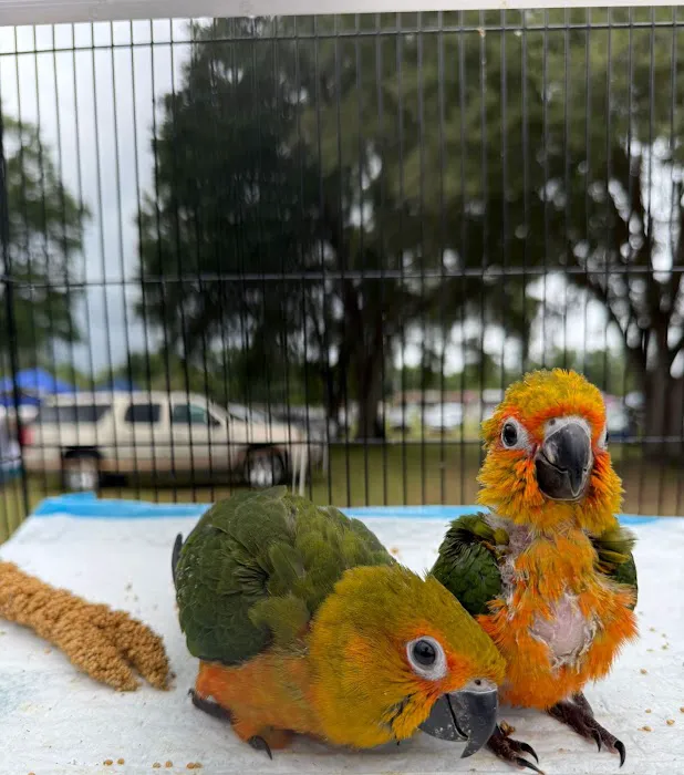 Cheech Exotic Pets Picture 7