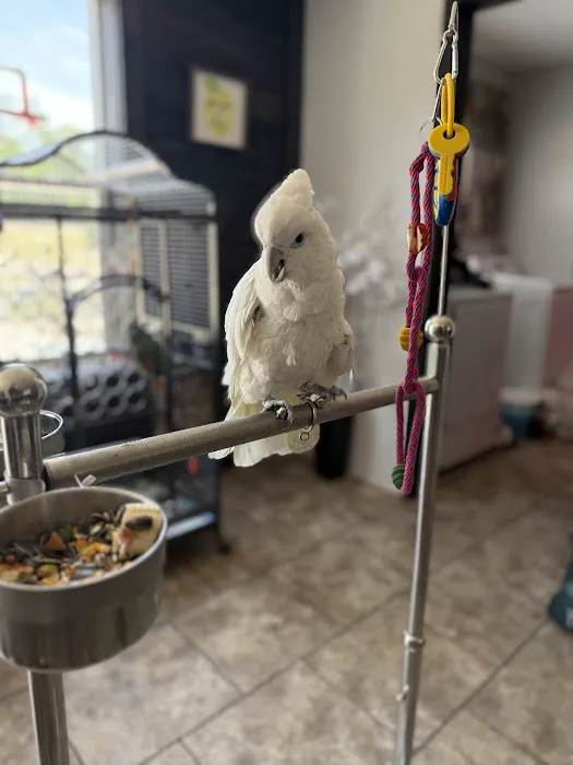 Cheech Exotic Pets Picture 4