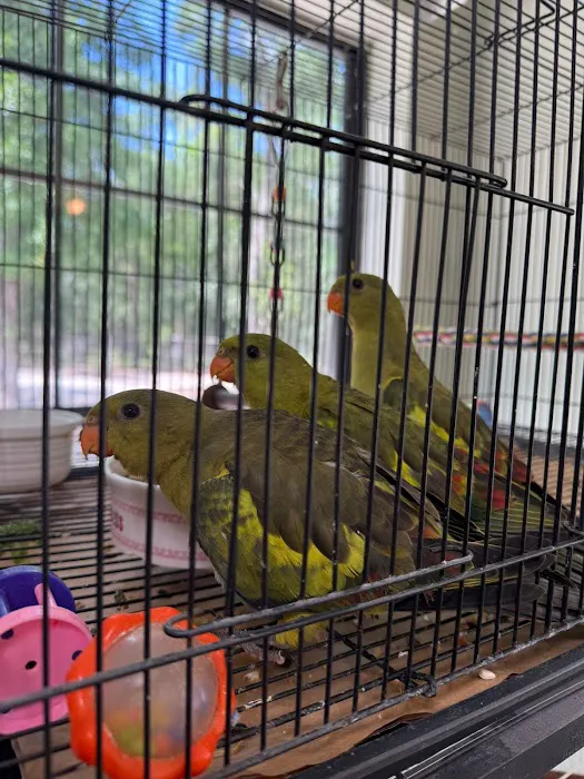 Cheech Exotic Pets Picture 6