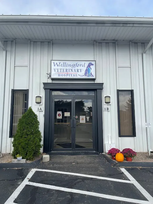 Wallingford Veterinary Hospital Picture 4