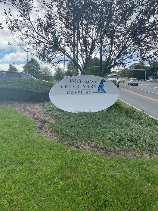 Wallingford Veterinary Hospital Picture 9
