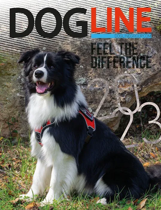 Dogline Inc Picture 2
