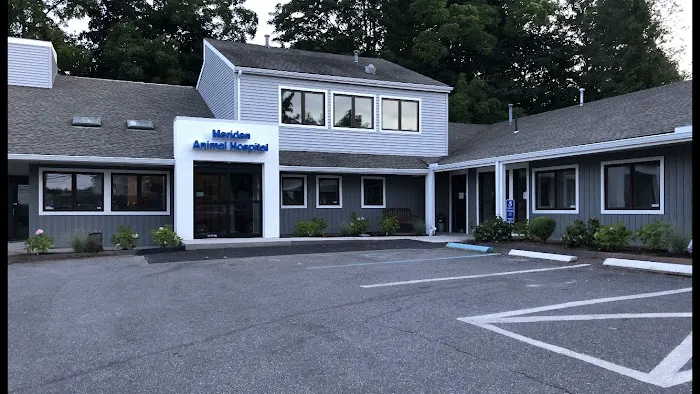 Meriden Animal Hospital Picture 3