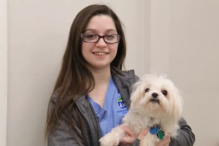 Meriden Animal Hospital Picture 6