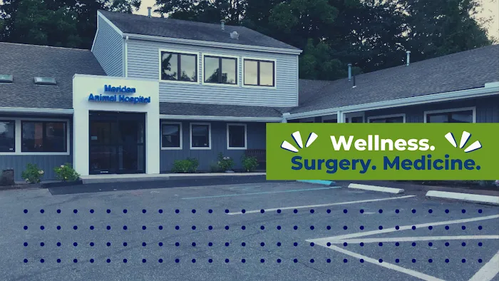Meriden Animal Hospital Picture 7