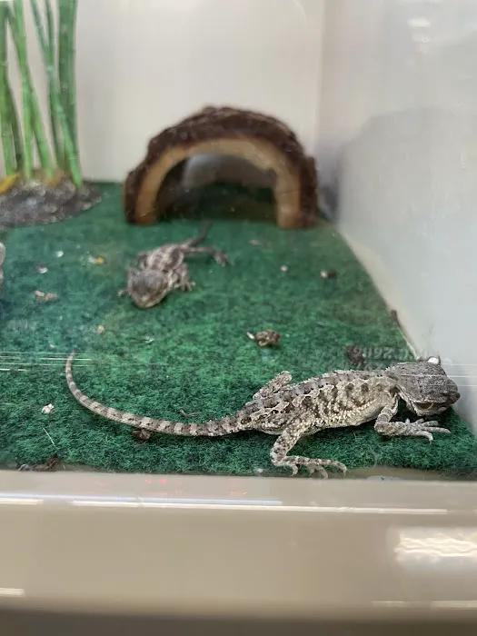 Pet Supplies Plus Sanford Picture 5