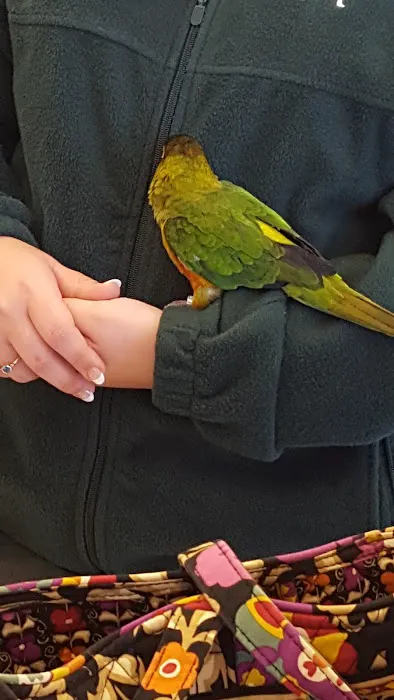 Pet Supplies Plus Sanford Picture 6