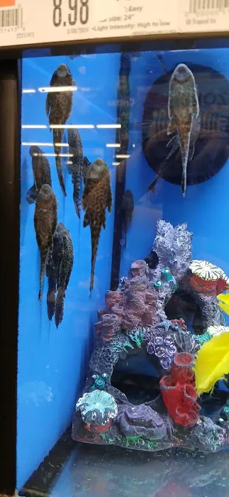 Pet Supplies Plus Sanford Picture 2